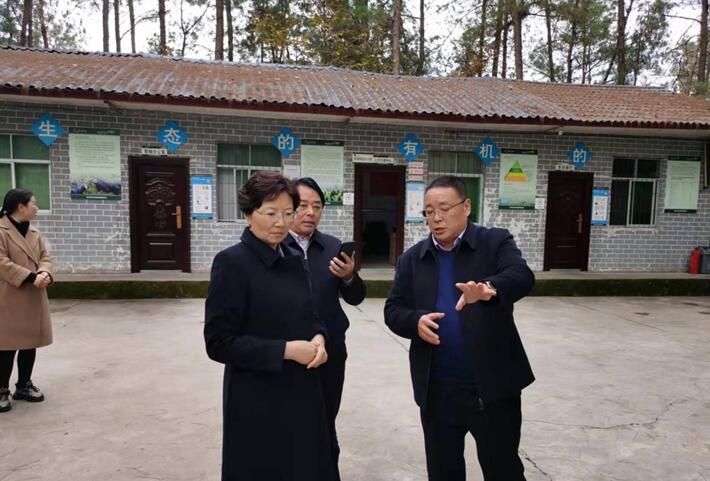 巴中市委常委，市委統戰部部長、市總工會主席溫奇志、通江縣縣委書記孫輝一行來公司調研